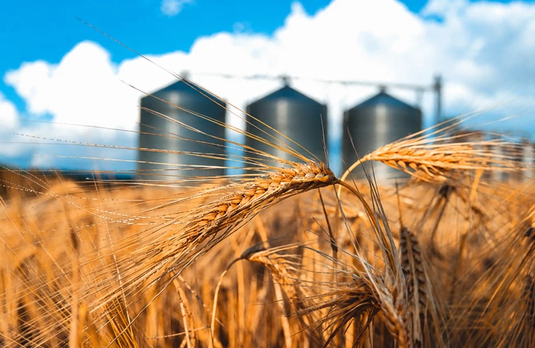 Modern grain storage facilities Modern grain storage facilities